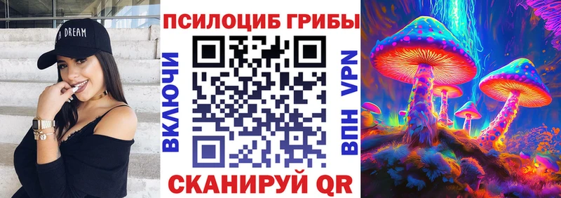 Псилоцибиновые грибы Psilocybe даркнет какой сайт Мариинский Посад купить наркотик